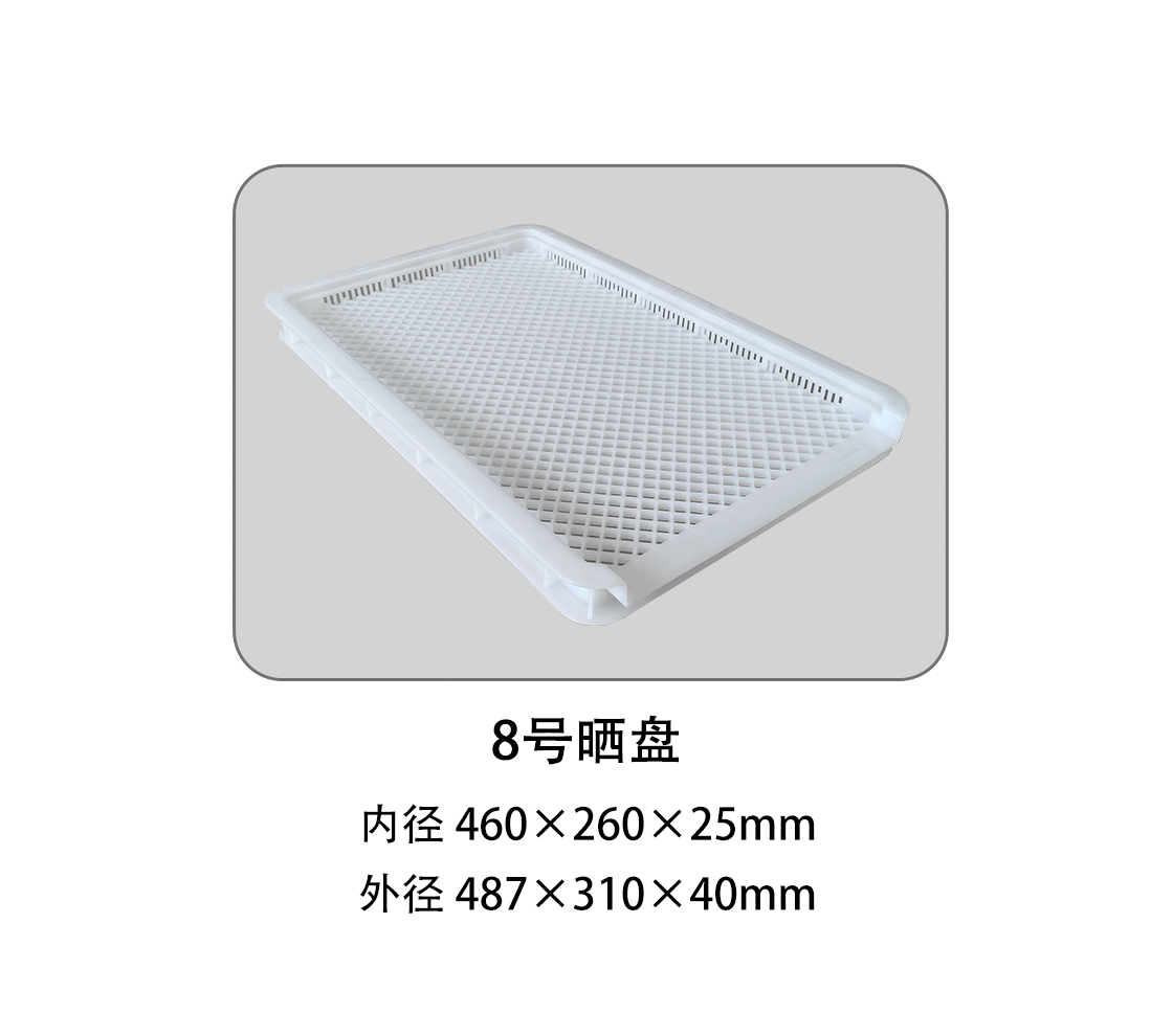 8號曬盤.jpg
